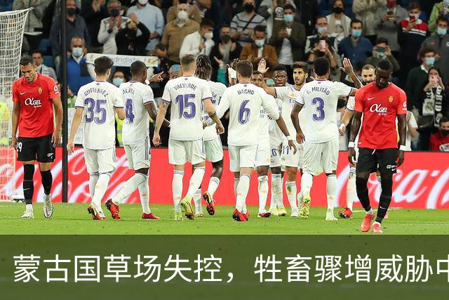 蒙古国草场失控，牲畜骤增威胁中国治沙成果